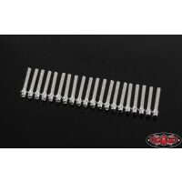 RC4WD RC4WD Miniature Scale Hex Bolts (M2 x 12mm)...